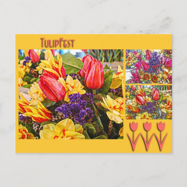 Fleurs de ressort de carte postale de tulipe de (Devant)