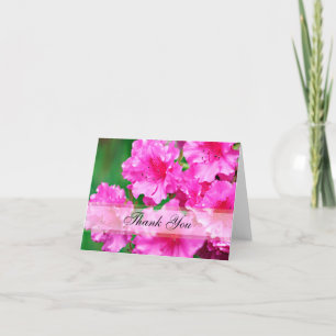 Fleurs de Rhododendron roses Merci