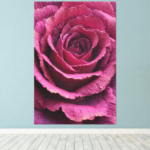 Fleurs de rose rose en gros plan Texture Art mural