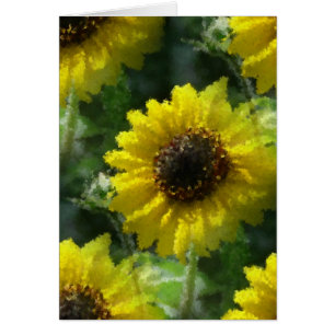 Fleurs de soleil