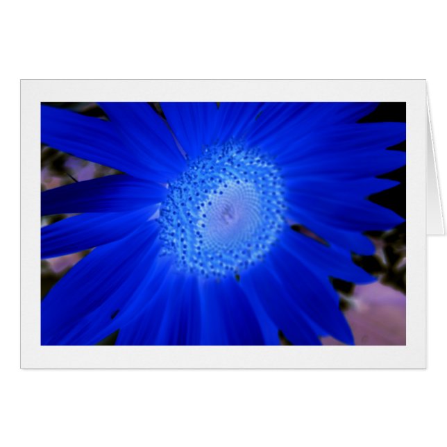 Fleurs de soleil (Devant horizontal)