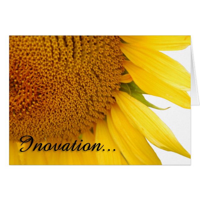 Fleurs de soleil (Devant horizontal)