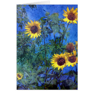 Fleurs de soleil