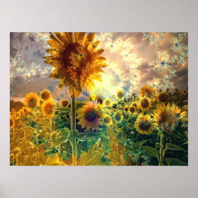 Fleurs de soleil dans un champ - Poster (Devant)