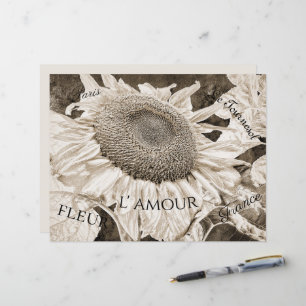 Fleurs de soleil géantes Sepia Ephémère Brown Scri