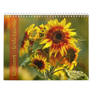 Fleurs de soleil sur le calendrier Scioto