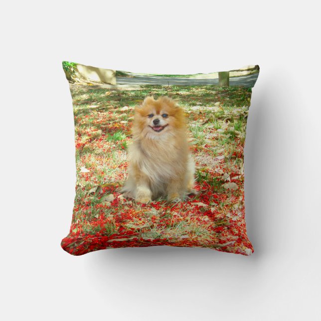 Fleurs de sourire de rouge du coussin | Pomeranian (Recto)