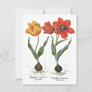Fleurs de tulipes printanières vintage par Basiliu