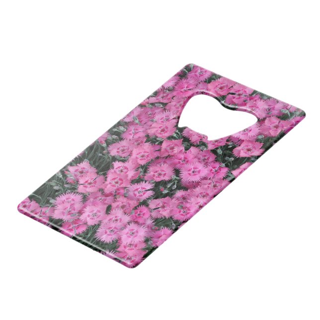 Fleurs de willim rose (Devant Angle)