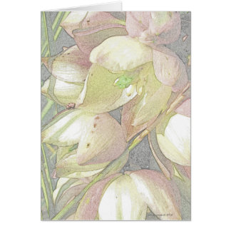 Fleurs de yucca dans le crayon coloré