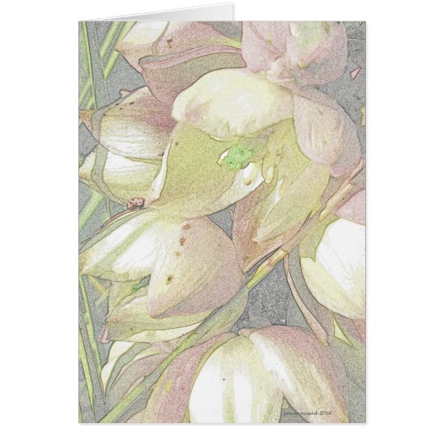 Fleurs de yucca dans le crayon coloré (Devant)