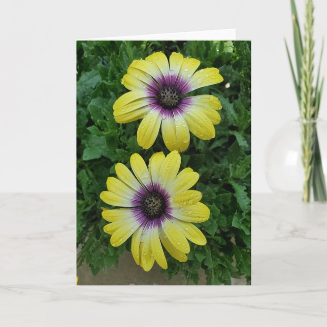 Fleurs d'été carte de voeux (Devant)