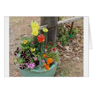Fleurs d'été dans le pot de turquoise