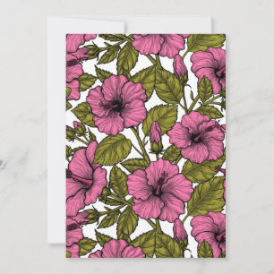 Fleurs d'hibiscus roses
