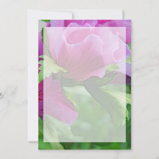 Fleurs d'hisbiscus pourpres (Devant)