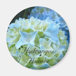 Fleurs d'hortensia aimant Hortensias bleus Floral