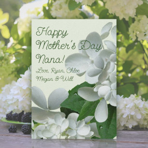Fleurs d'hortensia blanc Pee Gee Carte de la fête 