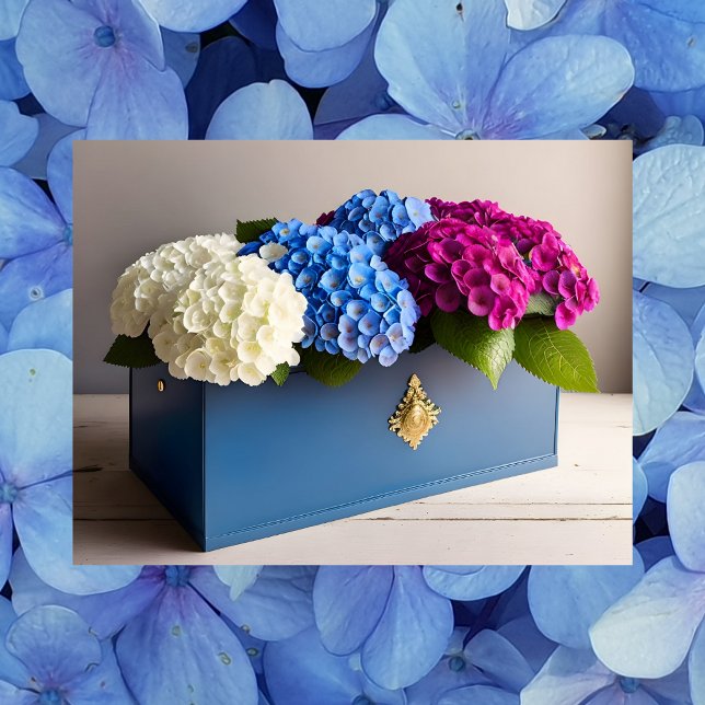 Fleurs d'Hydrangea, Carte postale de poste (Créateur téléchargé)