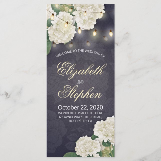 Fleurs d'Hydrangea Éclairage à cordes Programmes d (Devant)