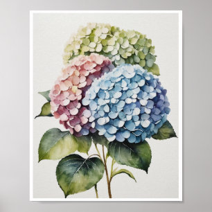 Fleurs d'Hydrangea Poster artisanal Couleur de l'e
