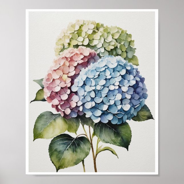 Fleurs d'Hydrangea Poster artisanal Couleur de l'e (Devant)