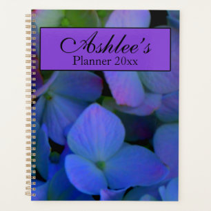 Fleurs d'hydrangeas bleues violet rose bleu