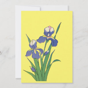 Fleurs d'iris de jardin de printemps pourpre flora