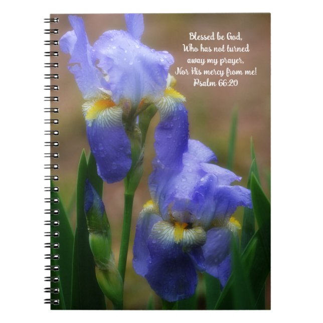 Fleurs d'Iris sous la Pluie Journal de Prière de V (Devant)