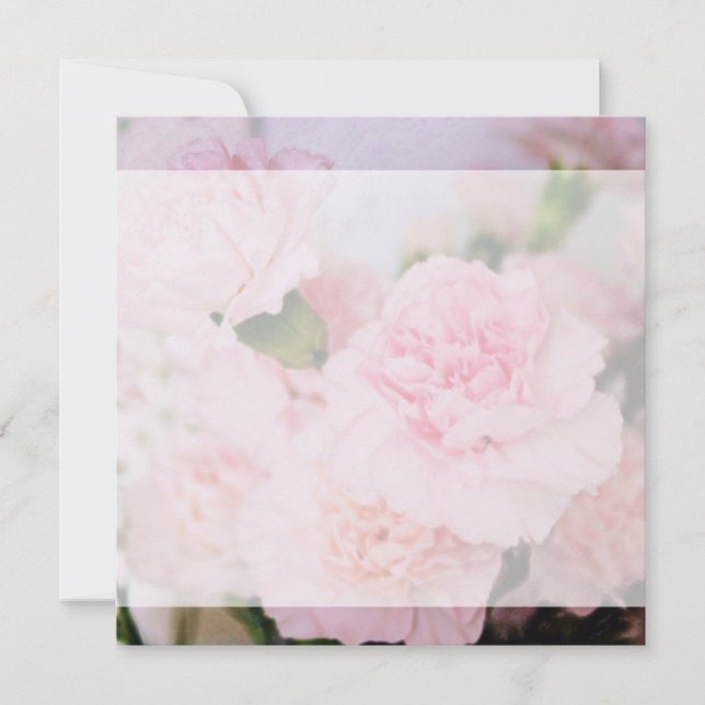 fleurs d'œillet rose toutes invitations vierges po (Devant)