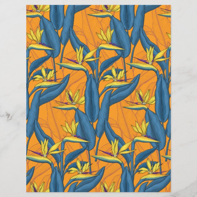 Fleurs d'oiseau de paradis sur orange (Devant)