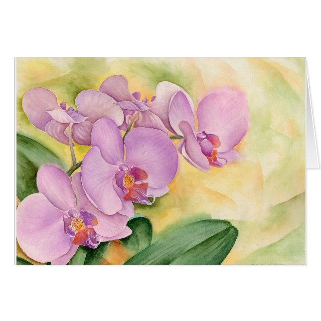 Fleurs d'orchidée de Phalaenopsis - multi (Devant horizontal)