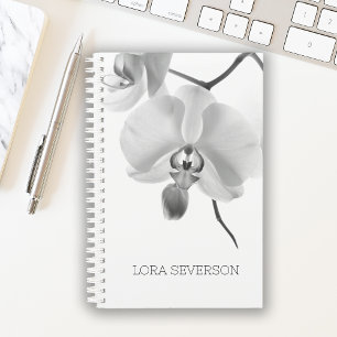 Fleurs d'orchidées noires et blanches