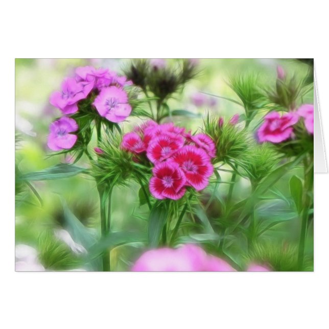 Fleurs douces gaies de William (Devant horizontal)