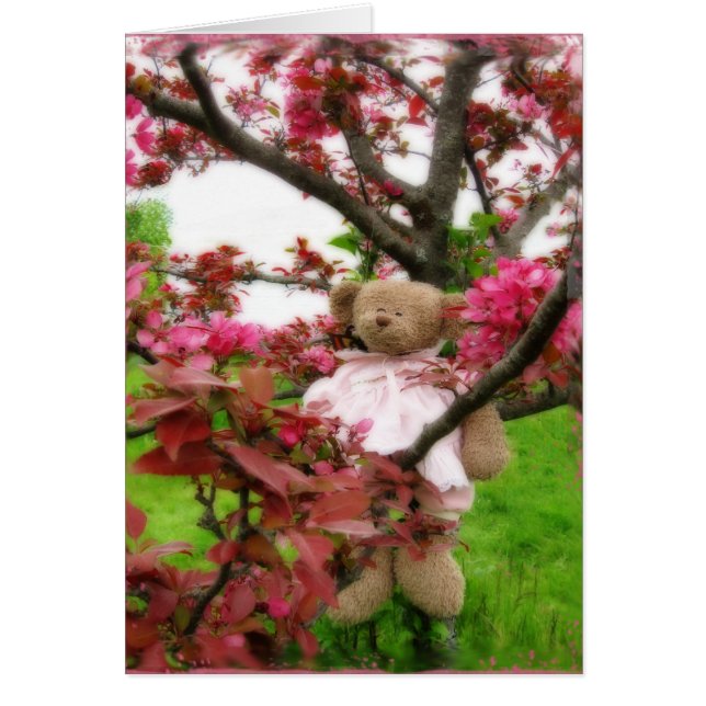 Fleurs d'ours (Devant)