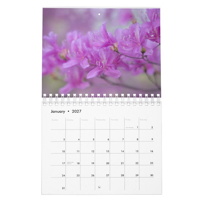 Fleurs du calendrier (Jan 2027)