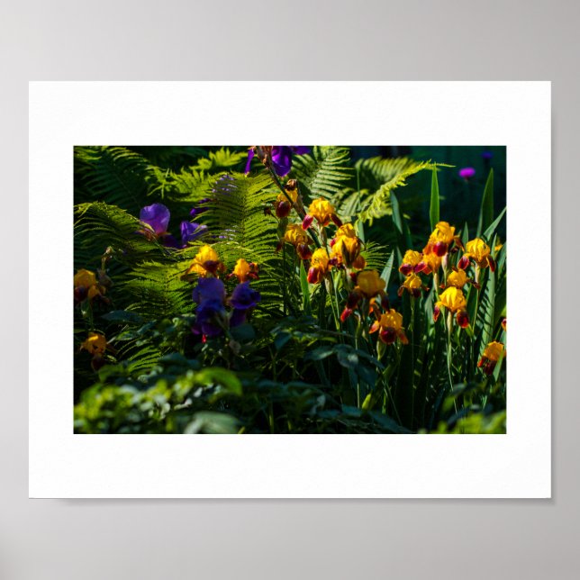 Fleurs du jardin ensoleillées Poster de la nature  (Devant)