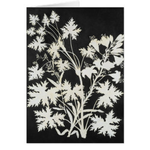 Fleurs en silhouette