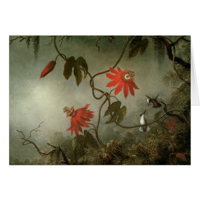 Fleurs et colibris de passion (Devant Horizontal)