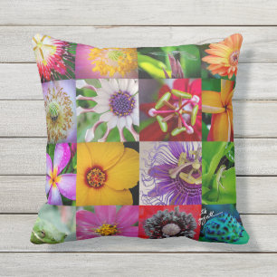 Fleurs et coussin de créatures