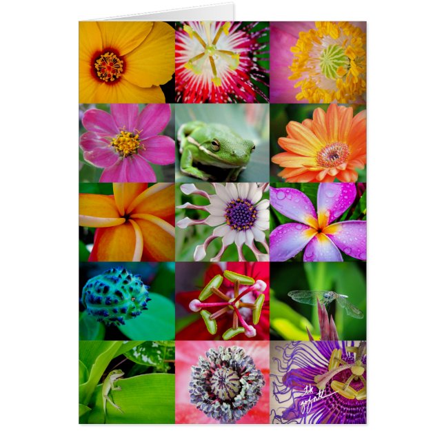 Fleurs et créatures élégantes Motif floral (Devant)