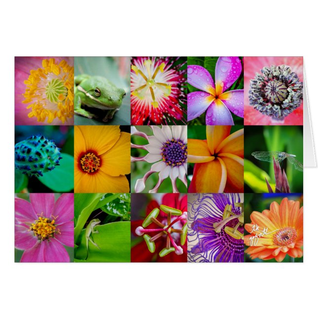 Fleurs et créatures élégantes Motif floral (Devant horizontal)