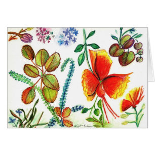 Fleurs et feuille de la Floride