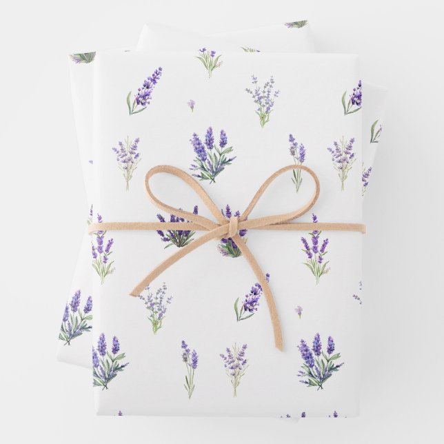Fleurs et Feuilles de lavande aquarelle (En situation)