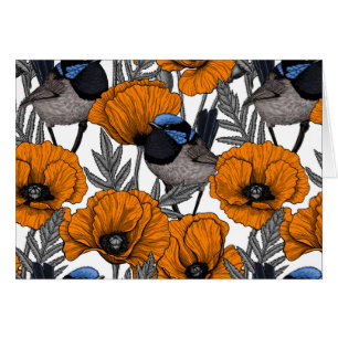 Fleurs et fleurs de pavot orangé 2