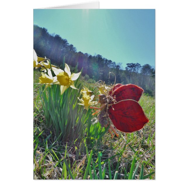 Fleurs et fleurs jaunes (Devant)