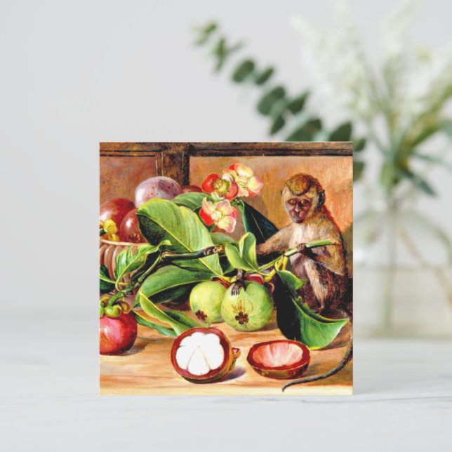Fleurs et fruits de Mangosteen; Singe de Singapour (Debout devant)
