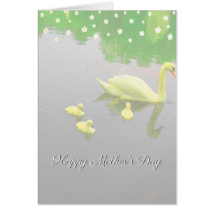 Fleurs et lac des cygnes pour la fête des mères 