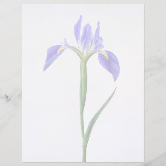 Fleurs | Fleur Iris Violet (Devant)