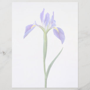 Fleurs Fleur Iris Violet