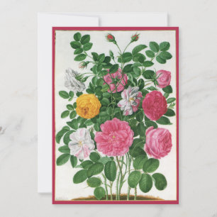 Fleurs fleuries vintage, roses de jardin de printe